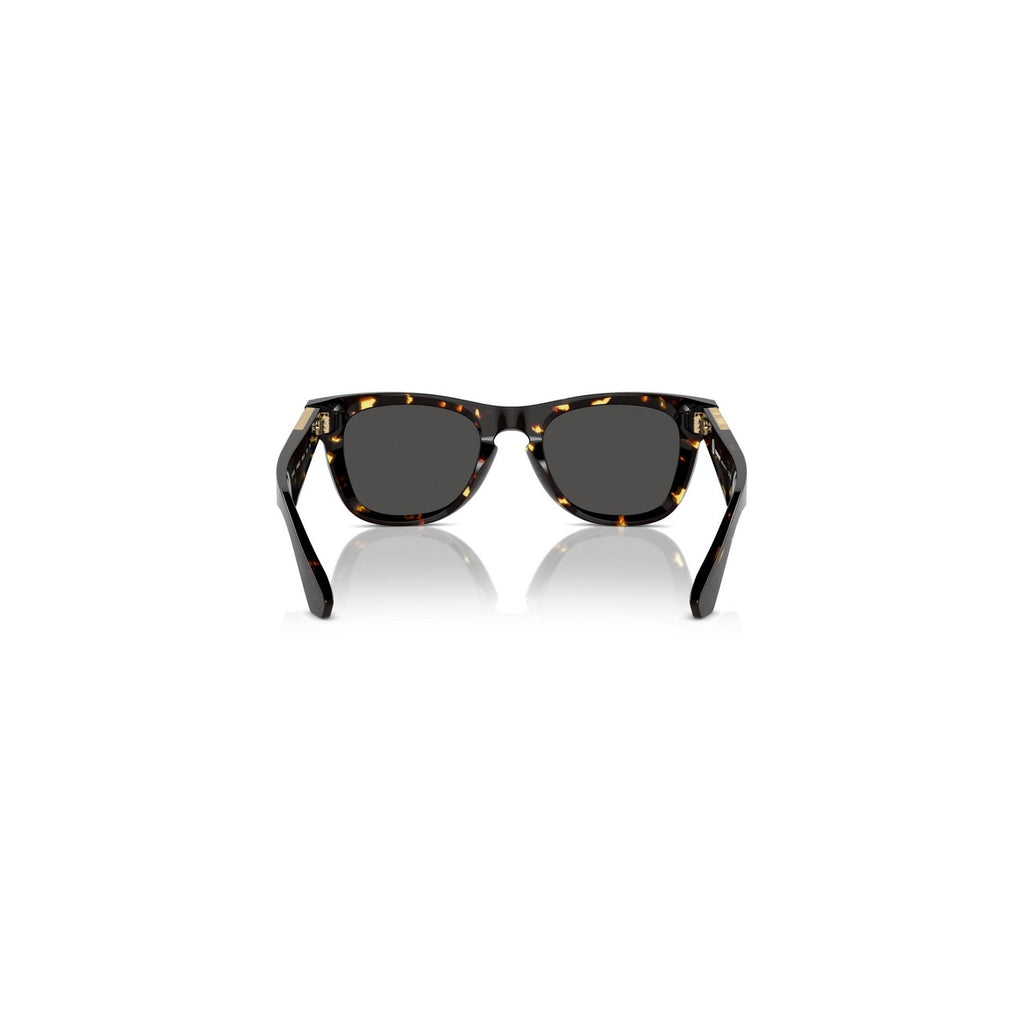 Burberry Men Sunglasses