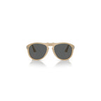 Persol Men Sunglasses
