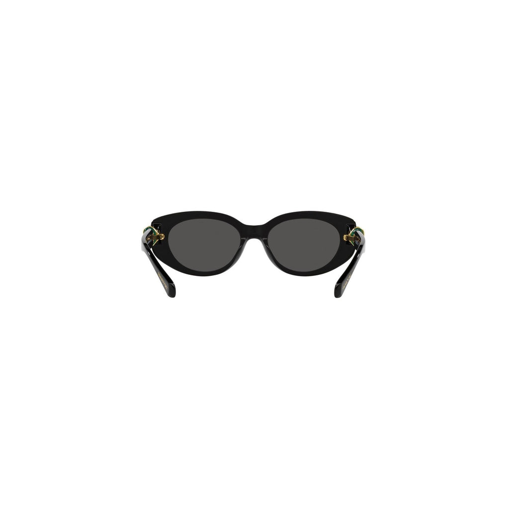 Swarovski  Women Sunglasses