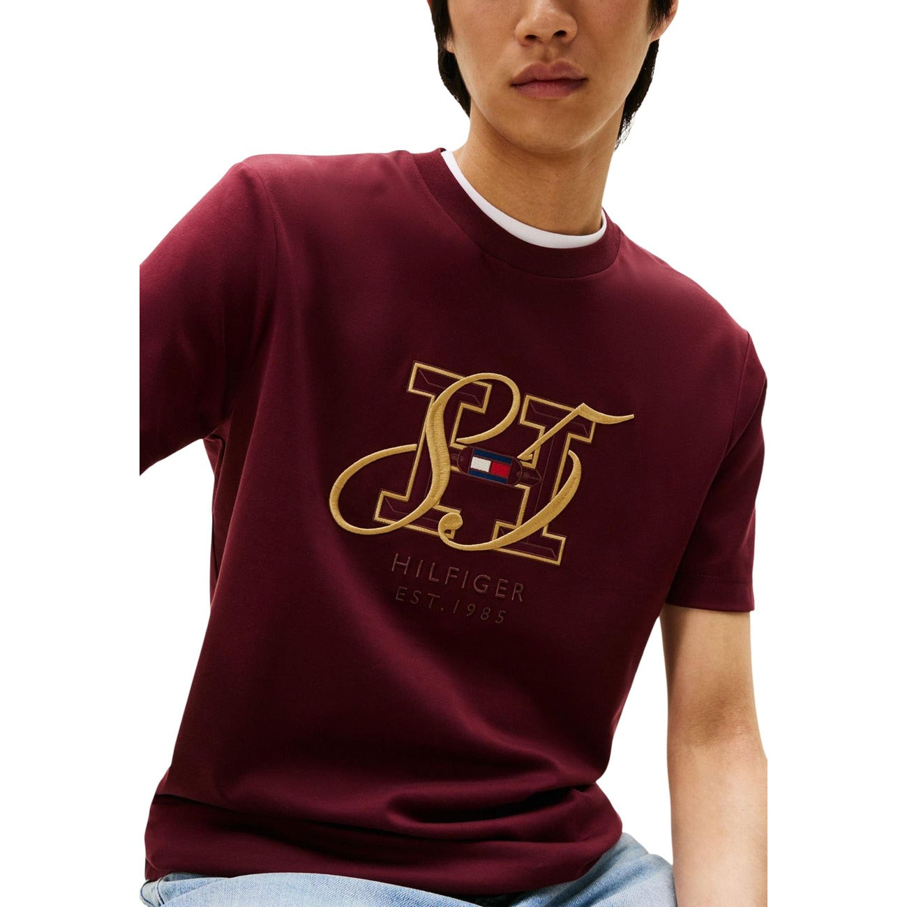 Tommy Hilfiger Men T-Shirt
