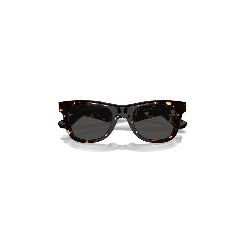 Burberry Men Sunglasses