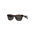 Burberry Men Sunglasses