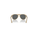 Persol Men Sunglasses