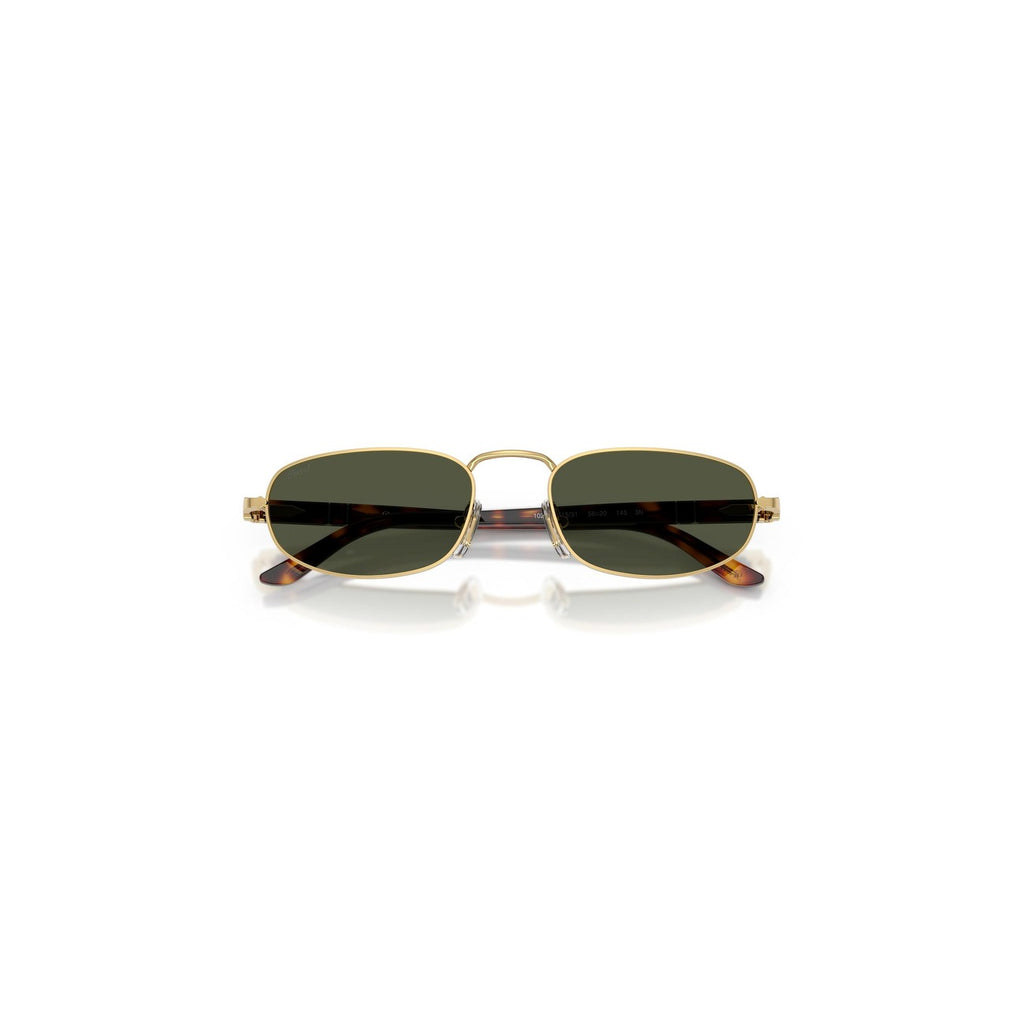Persol Men Sunglasses