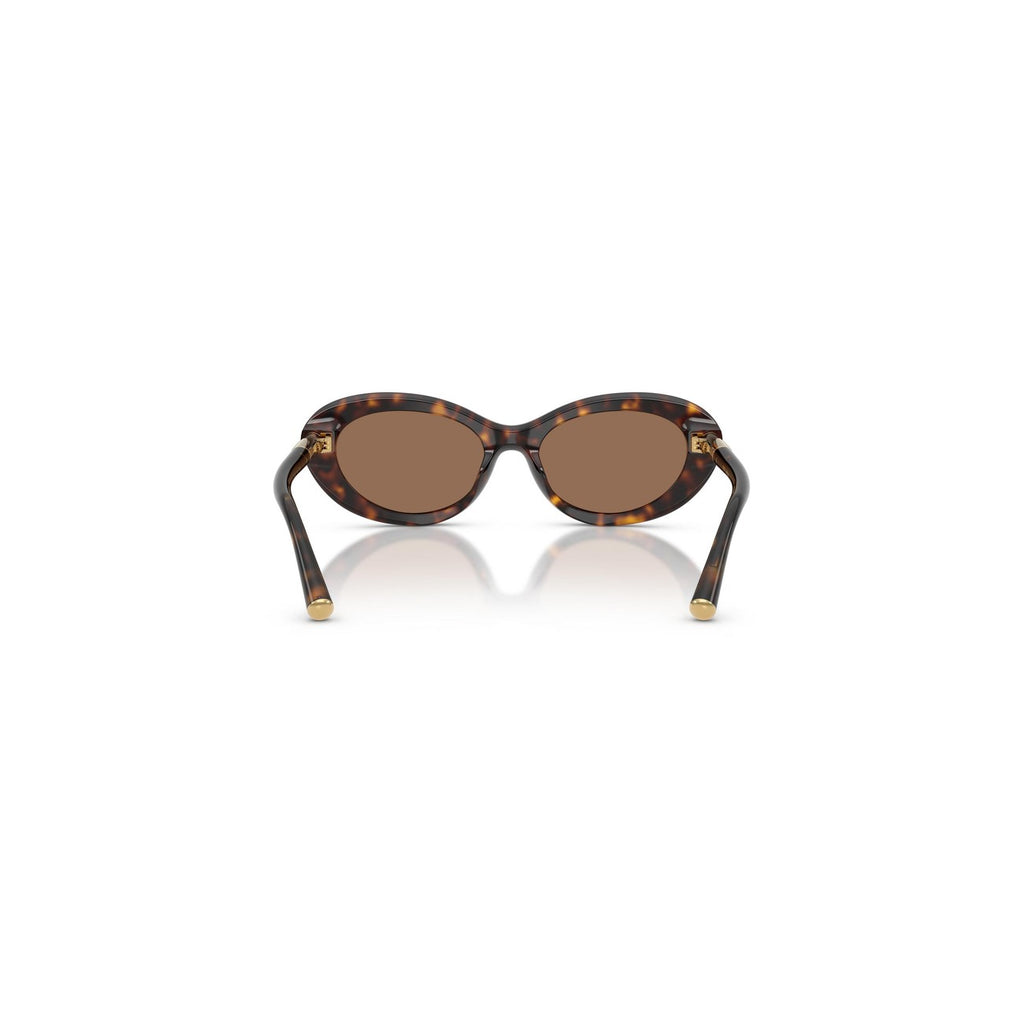 Dolce & Gabbana  Women Sunglasses