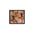 Desigual  Women Scarve