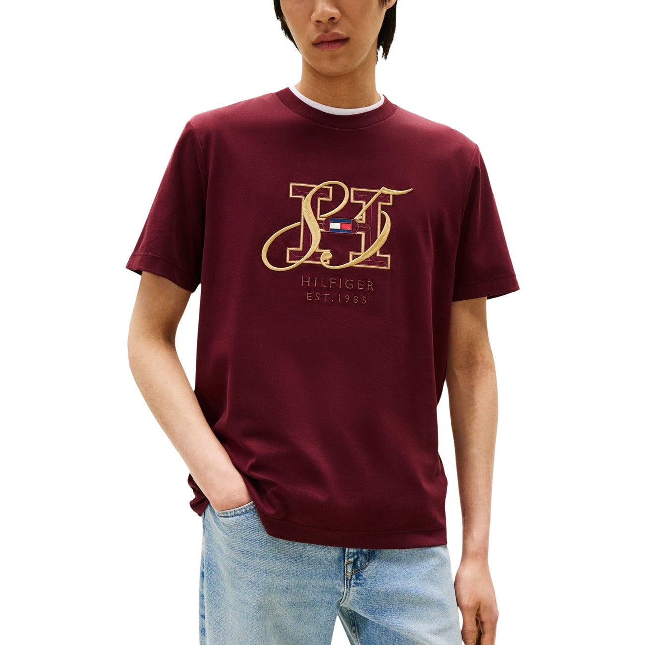Tommy Hilfiger Men T-Shirt