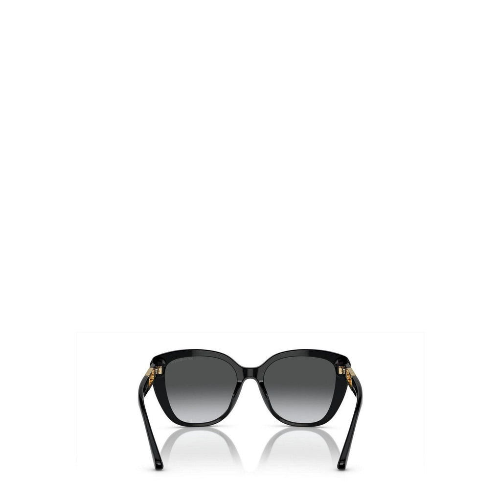 Emporio Armani  Women Sunglasses