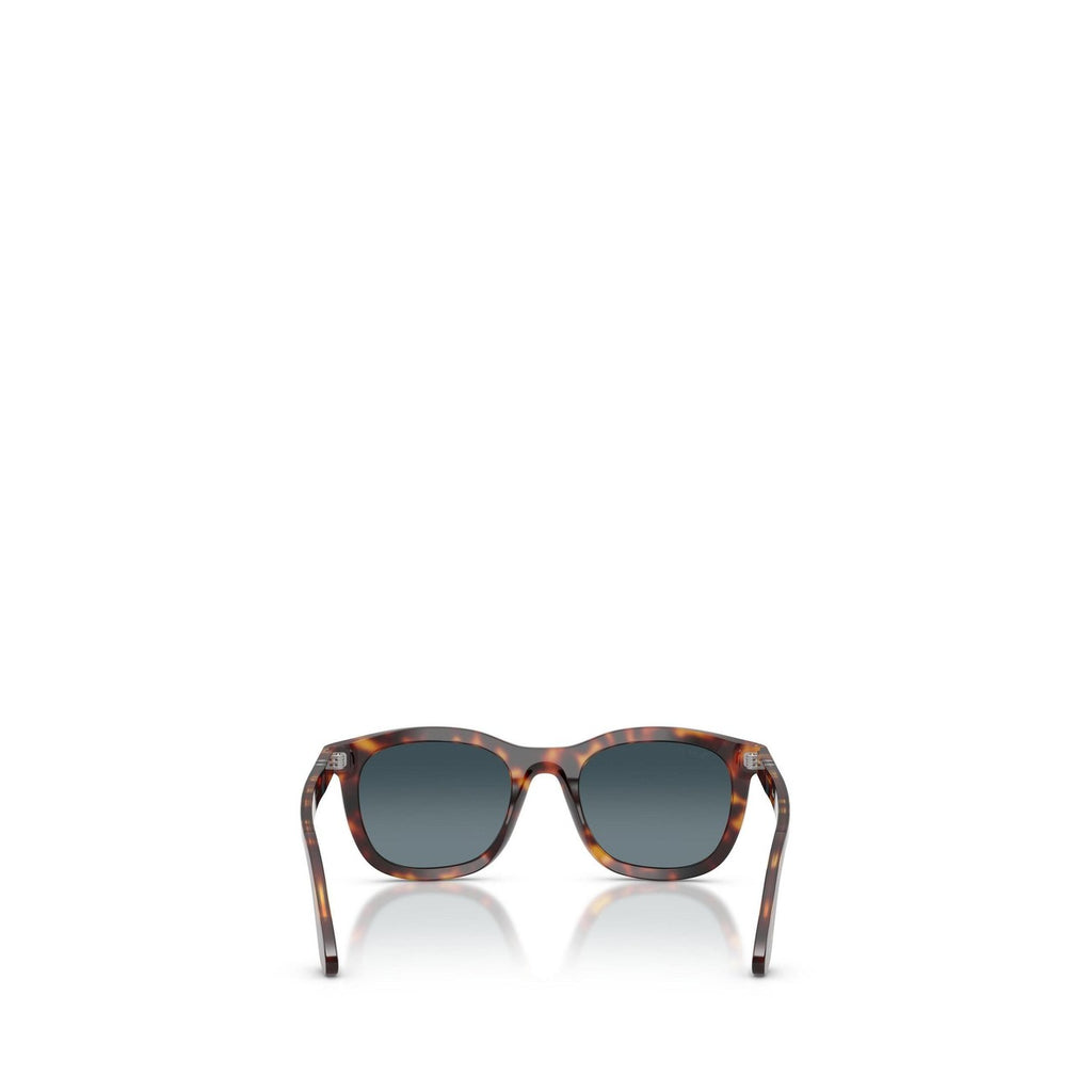 Persol Men Sunglasses